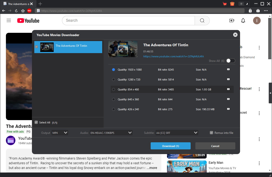 YouTube Movies Downloader Schritt 3